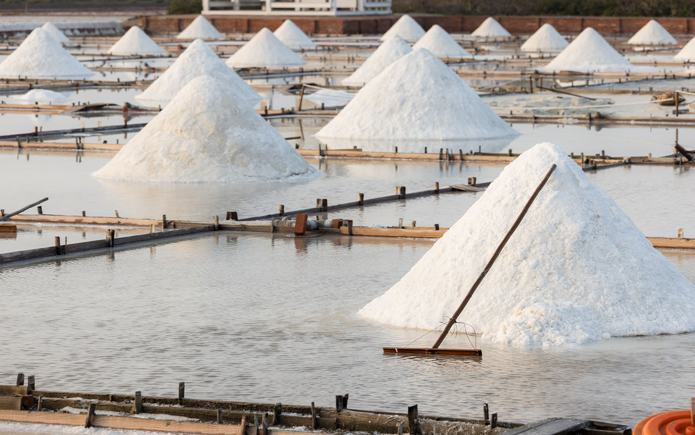 Super Washery Grade Salt for Advanced Industrial Use
